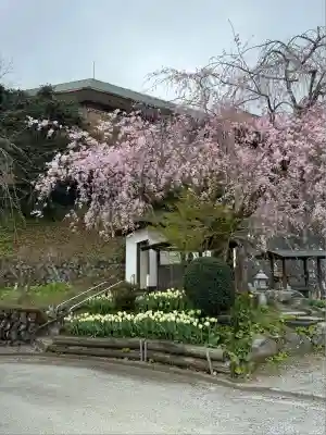 泉蔵寺(神奈川県)