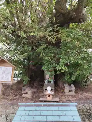 闘鶏神社(和歌山県)