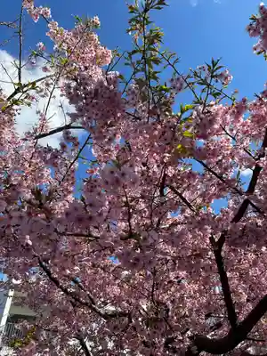 諏訪神社(東京都)