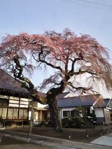 相応寺(福島県)