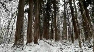 戸隠神社九頭龍社(長野県)