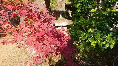 通猛寺(静岡県)