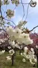 相馬神社の自然