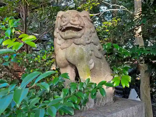 立坂神社の狛犬