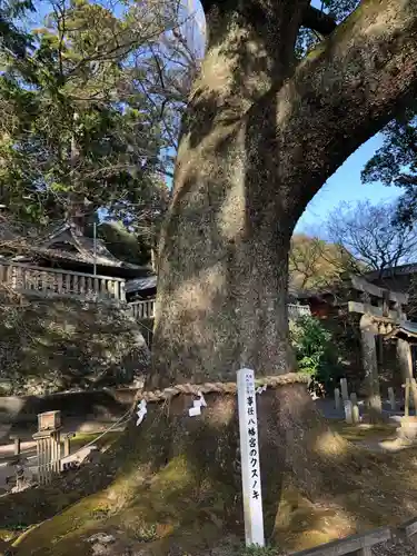 事任八幡宮の自然