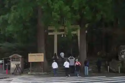 飛瀧神社（熊野那智大社別宮）の{uncategorized: "未分類", other: "その他", undefined: "問題あり", building: "その他建物", grave: "お墓", sacred_gate: "鳥居", guardian: "狛犬", statue: "像", buddha: "仏像", history: "歴史", nature: "自然", garden: "庭園", animal: "動物", pagoda: "塔", temizu: "手水舎", mountain_gate: "山門・神門", sanctuary: "本殿・本堂", subordinate: "末社・摂社", art: "芸術", scenery: "景色", jizo: "地蔵", ema: "絵馬", goshuin: "御朱印", omikuji: "おみくじ", items: "授与品その他", amulet: "お守り", goshuincho: "御朱印帳", eats: "食事", festival: "お祭り", votive_dance: "神楽", shichigosan: "七五三参", wedding: "結婚式", experience: "体験その他", initially: "初詣", around: "周辺", anti_infection: "感染症対策"}