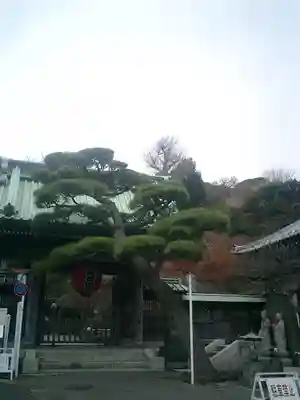 長谷寺の山門・神門