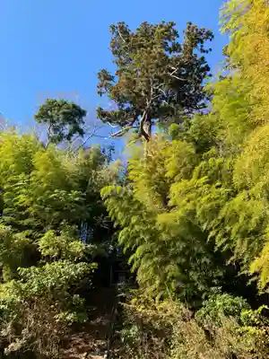 熊野神社(千葉県)