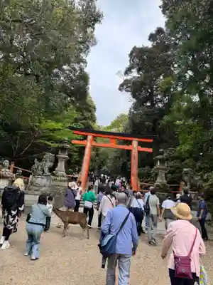 春日大社(奈良県)