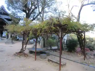 仙遊寺(愛媛県)