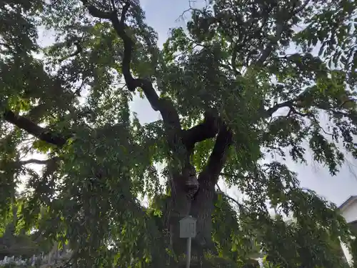 西林寺(神奈川県)