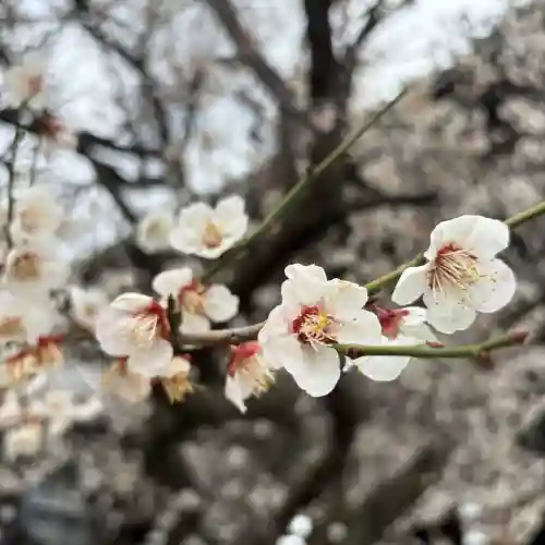 興正寺(京都府)