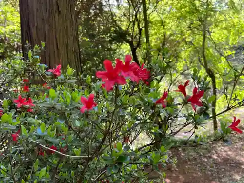 大宮温泉神社(栃木県)