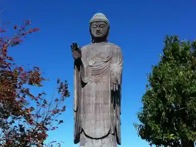 東本願寺本廟 牛久浄苑（牛久大仏）の仏像