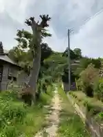 八坂神社の周辺