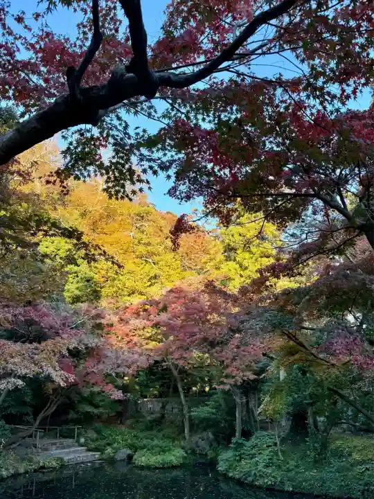 鶴岡八幡宮(神奈川県)