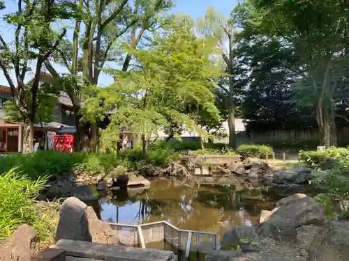 増上寺塔頭 三縁山 宝珠院の庭園