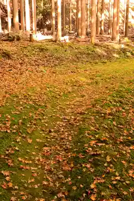 神護寺(京都府)