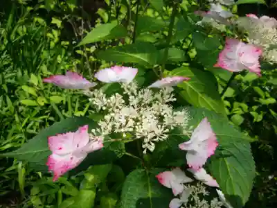 八幡神社松平東照宮(愛知県)