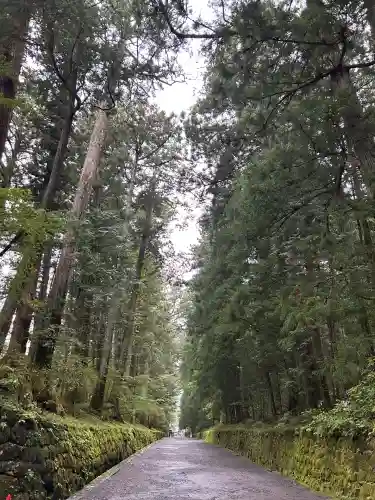 日光東照宮(栃木県)