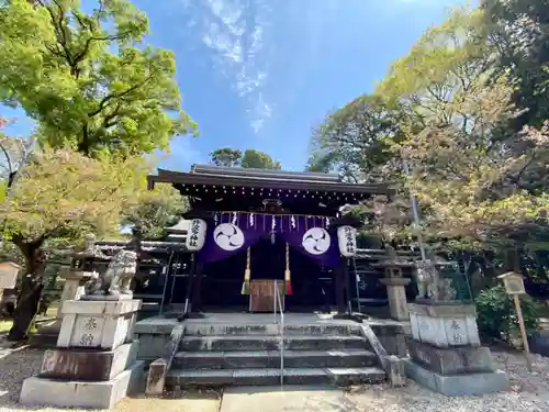 許波多神社（小幡東中鎮座）の本殿