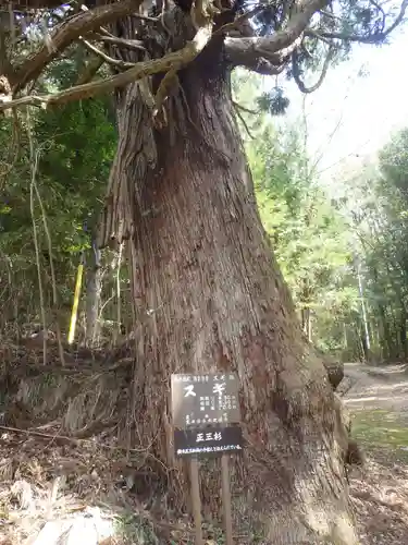 恩真寺(愛知県)
