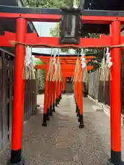 堀越神社(大阪府)