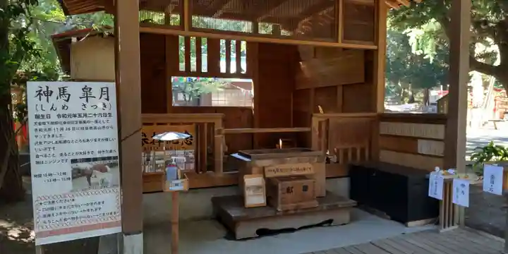 平塚八幡宮(神奈川県)