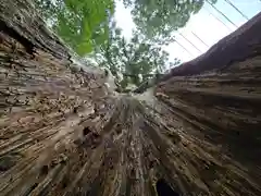 丹生神社（丹生川上神社中社摂社)(奈良県)