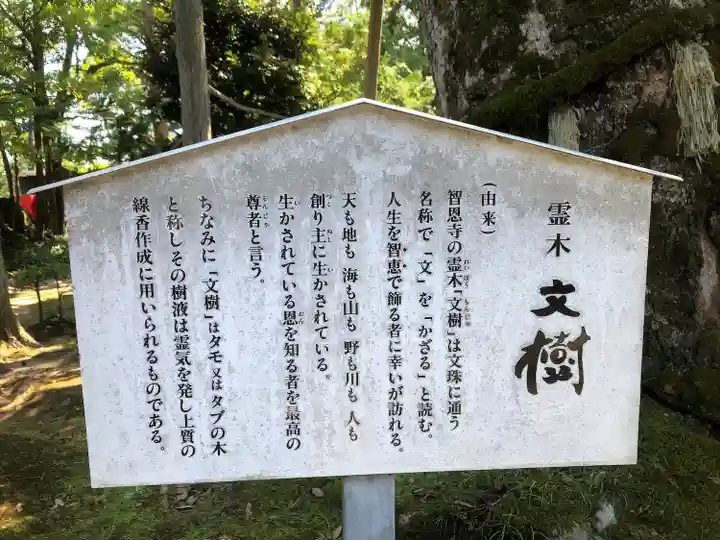 智恩寺(京都府)