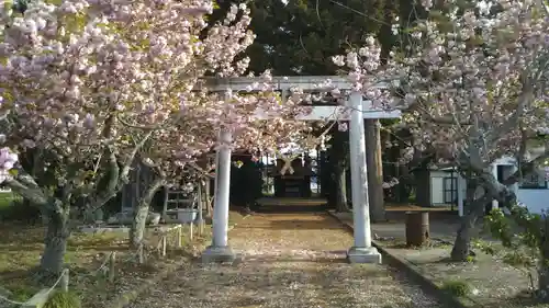 大杉神社の鳥居