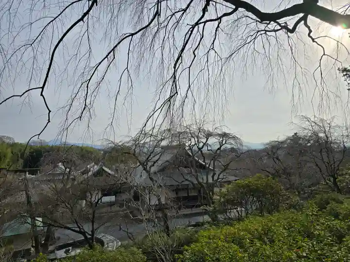 天龍寺(京都府)