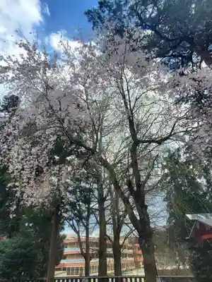 下野國一社八幡宮(栃木県)