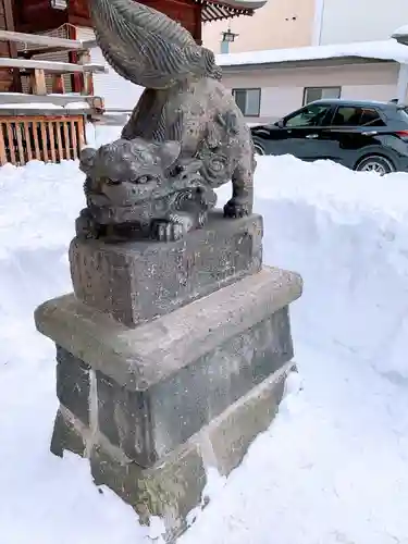 北海道神宮頓宮の狛犬