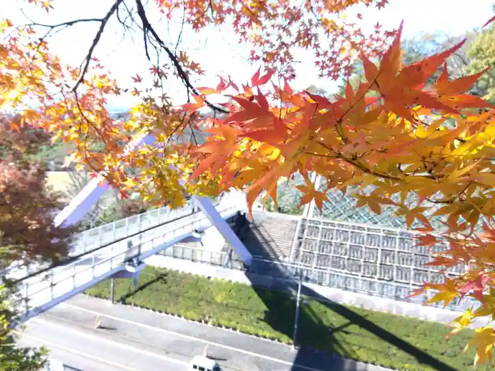 妙法寺(福井県)