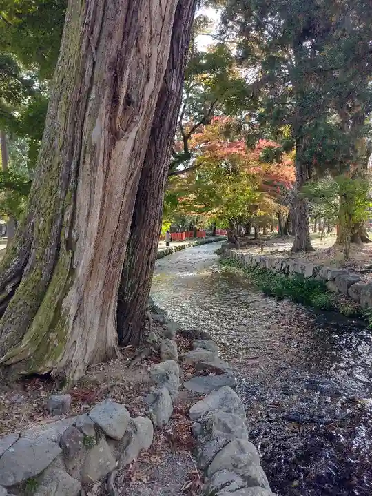 賀茂別雷神社(上賀茂神社)(京都府)