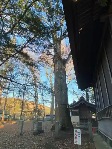淺間神社（忍野八海）の自然