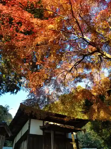 宝光寺の末社