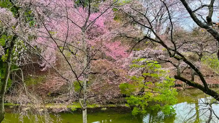 眞田神社(長野県)
