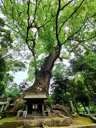 生目神社の自然