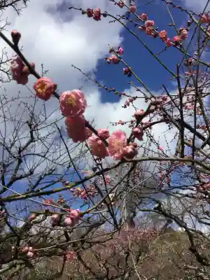 北野天満宮(京都府)