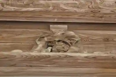 大洗磯前神社の芸術