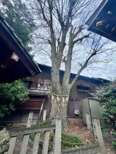 安井金比羅宮の{uncategorized: "未分類", other: "その他", undefined: "問題あり", building: "その他建物", grave: "お墓", sacred_gate: "鳥居", guardian: "狛犬", statue: "像", buddha: "仏像", history: "歴史", nature: "自然", garden: "庭園", animal: "動物", pagoda: "塔", temizu: "手水舎", mountain_gate: "山門・神門", sanctuary: "本殿・本堂", subordinate: "末社・摂社", art: "芸術", scenery: "景色", jizo: "地蔵", ema: "絵馬", goshuin: "御朱印", omikuji: "おみくじ", items: "授与品その他", amulet: "お守り", goshuincho: "御朱印帳", eats: "食事", festival: "お祭り", votive_dance: "神楽", shichigosan: "七五三参", wedding: "結婚式", experience: "体験その他", initially: "初詣", around: "周辺", anti_infection: "感染症対策"}