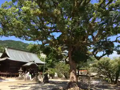 與止日女神社(佐賀県)