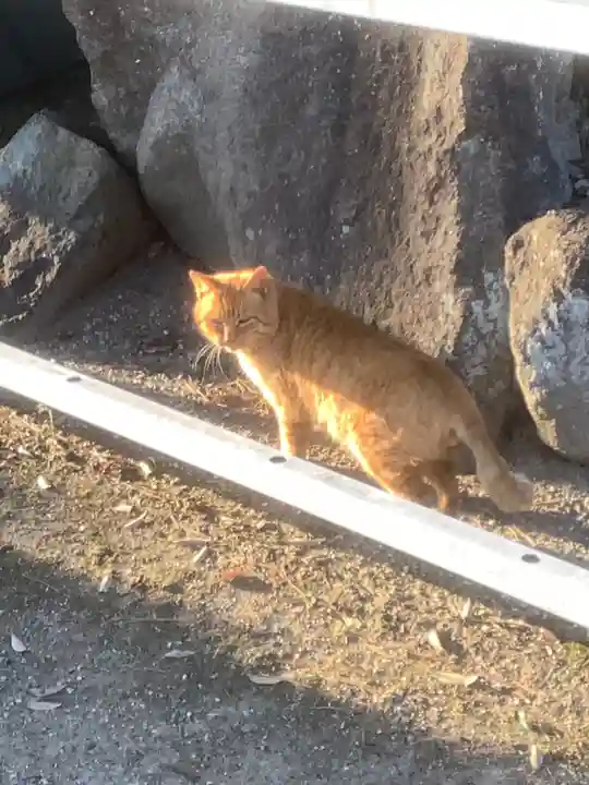 密蔵院(愛知県)