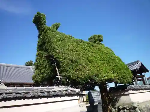 延命寺の山門