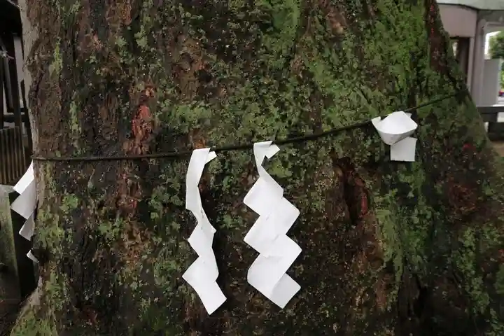 阿邪訶根神社の自然