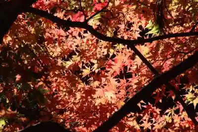 国宝 大法寺(長野県)