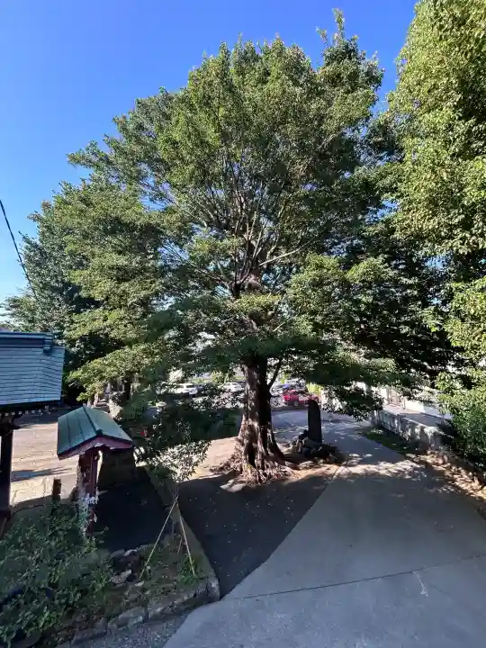 滝野川八幡神社(東京都)