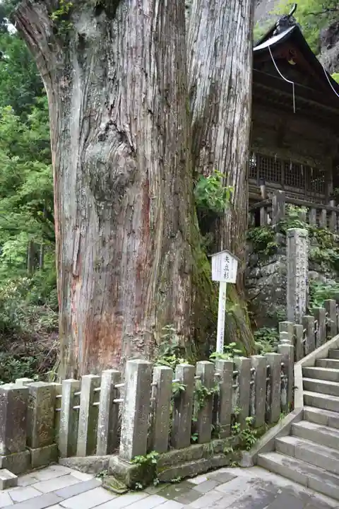 榛名神社のその他建物